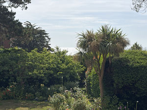 Photo 3- click for photo gallery